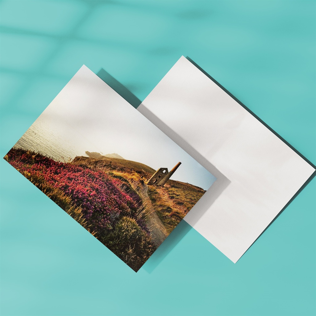 [PFV-000455] Postcards 5'' x 7'' - 1 Side (1000, 1 Side)